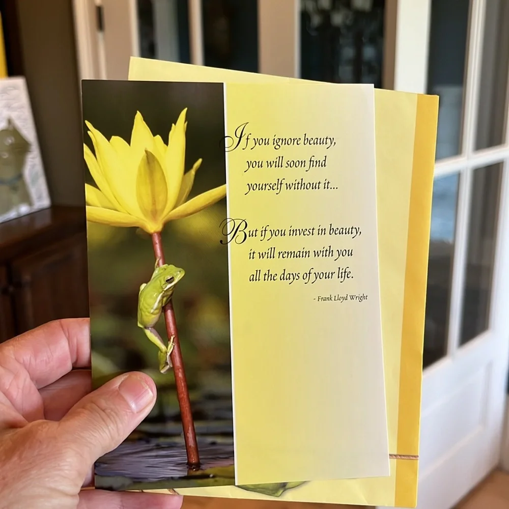 Floral and Nature Greeting Cards Set New